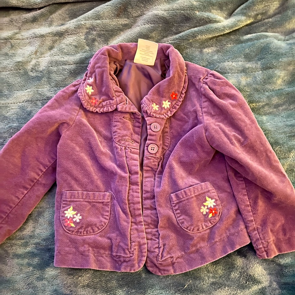 Crazy 8’s girls’ 2-3 year purple velvet coat